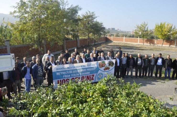 Üreticilere Zeytin Ve Badem Fidanı Desteği