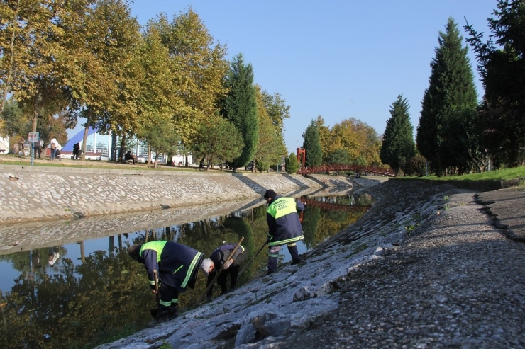 Çark Deresi Günlük Olarak Temizleniyor