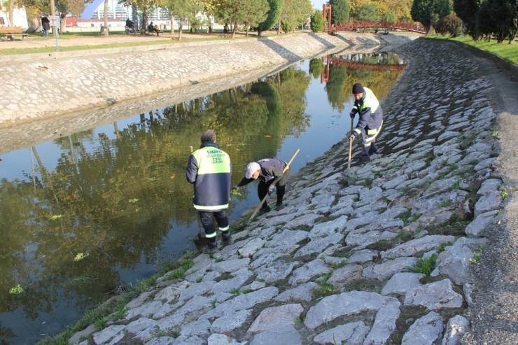 Çark Deresi Günlük Olarak Temizleniyor