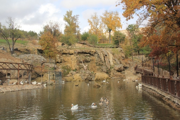 Bozkır’da Sonbahar