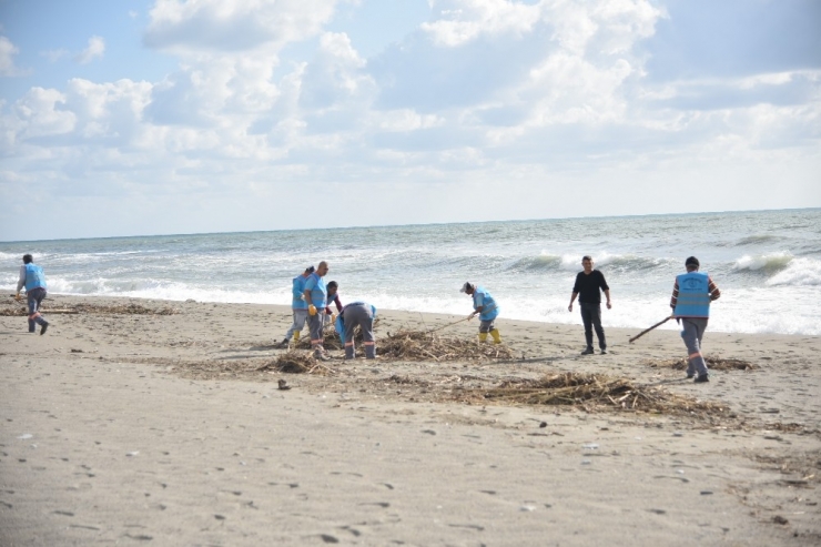 Alanya’da Sahiller Temizleniyor