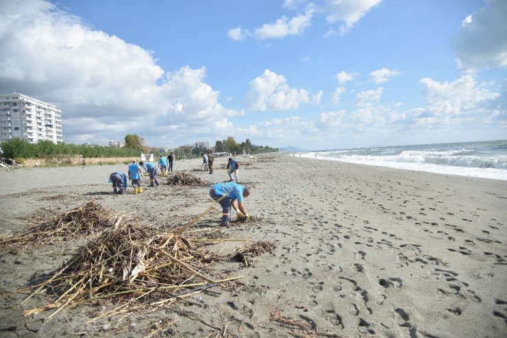Alanya’da Sahiller Temizleniyor
