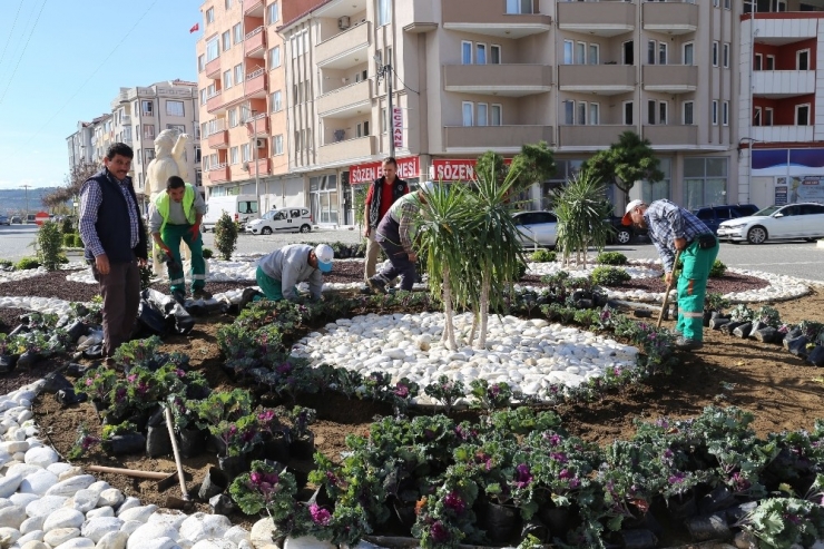 Burhaniye’de Kavşaklara Çiçek Güzelliği