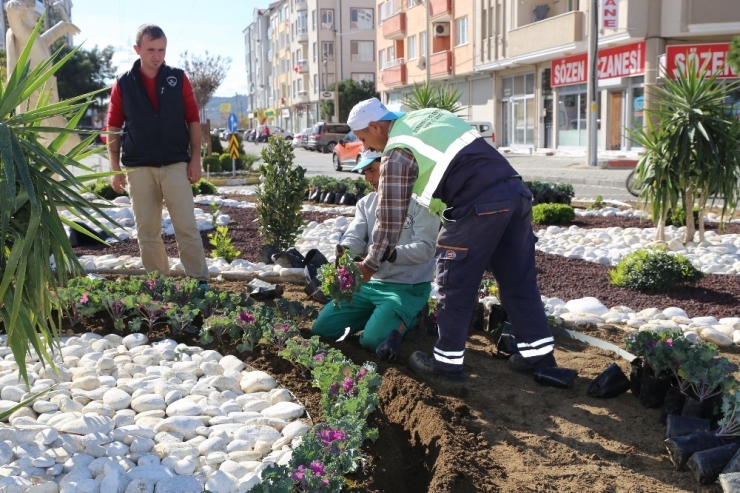Burhaniye’de Kavşaklara Çiçek Güzelliği