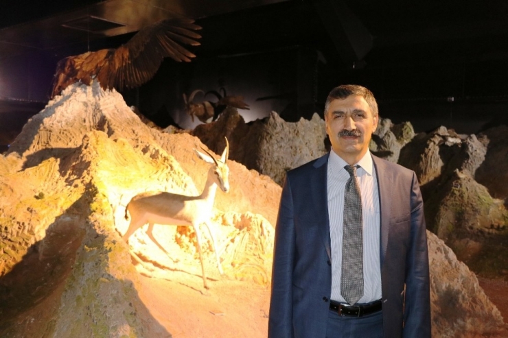 Hayvanların Tahniti İle Yaban Hayatını Tanıtıyorlar