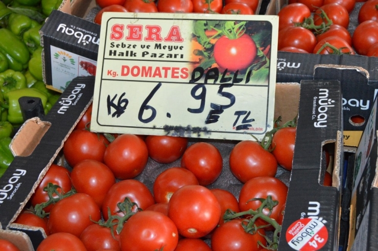 Edirne’de Domatesin Ateşi Yükseldi