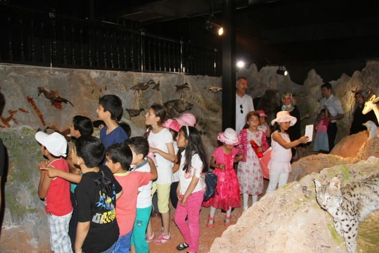 Hayvanların Tahniti İle Yaban Hayatını Tanıtıyorlar