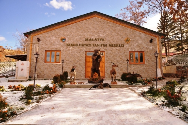 Hayvanların Tahniti İle Yaban Hayatını Tanıtıyorlar