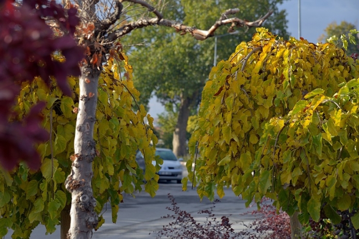 Kırşehir’de Sonbahar Manzaraları
