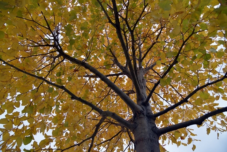 Kırşehir’de Sonbahar Manzaraları