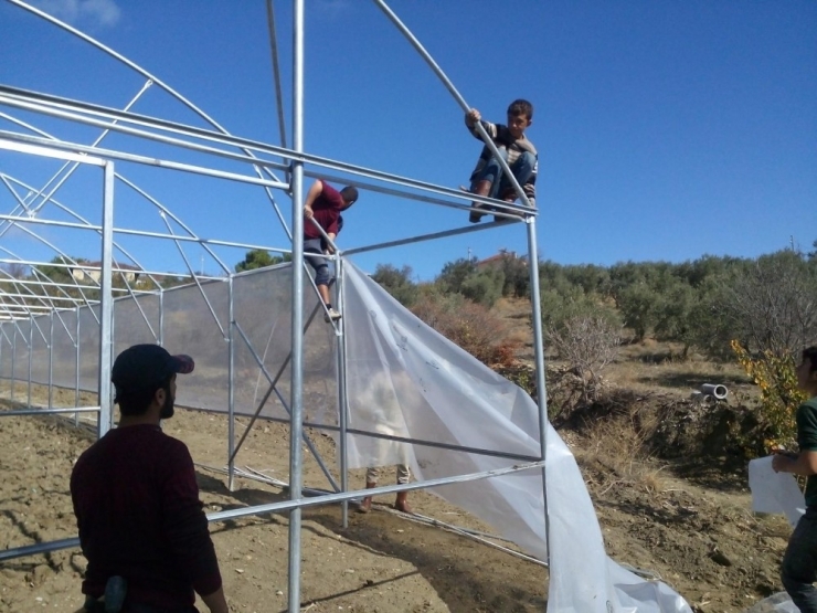 Tamamlanan Seralar Üreticilere Teslim Ediliyor