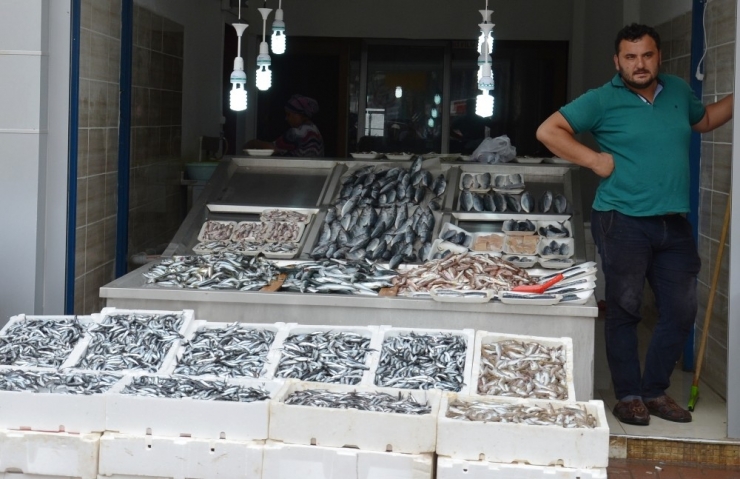 Hamsi Tahtını Geri Aldı