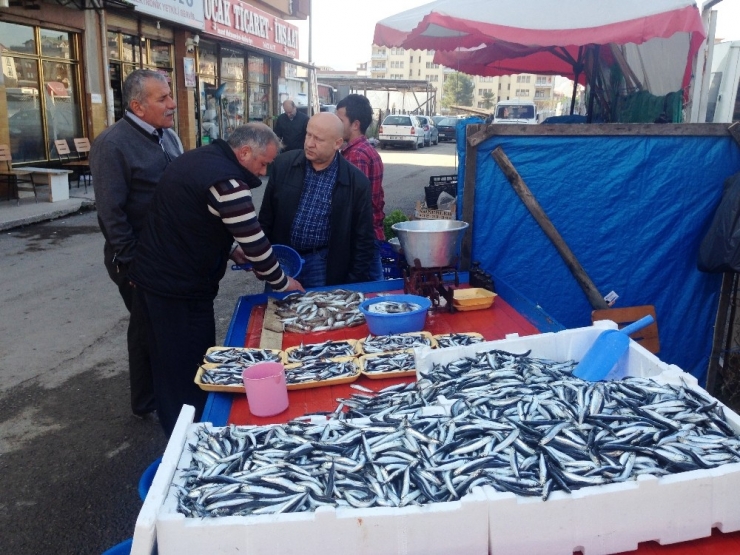 Hamsi Tahtını Geri Aldı