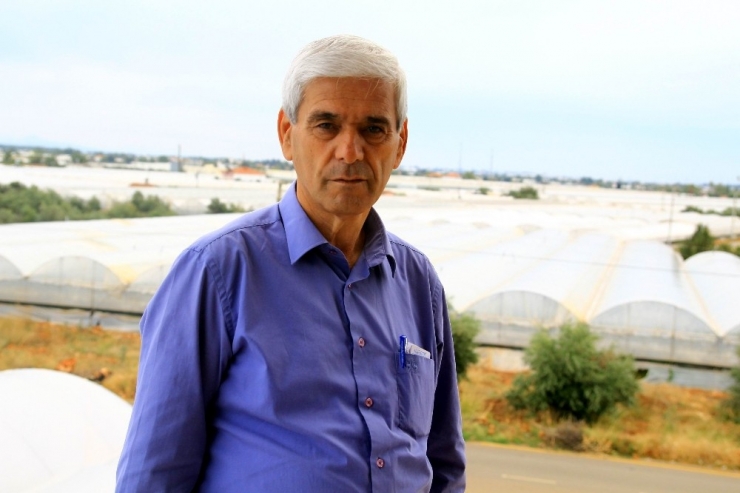 Antalya’da 250 Bin Dönümlük Seradan 170 Bin Kişi Geçimini Sağlıyor