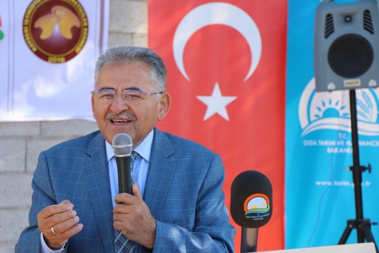 Kayseri İstiridye Mantarının Üretim Merkezi Olacak