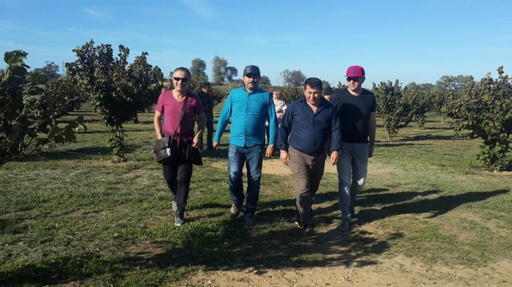 Ordu Heyeti İspanya’nın Fındık Tarımını İnceledi