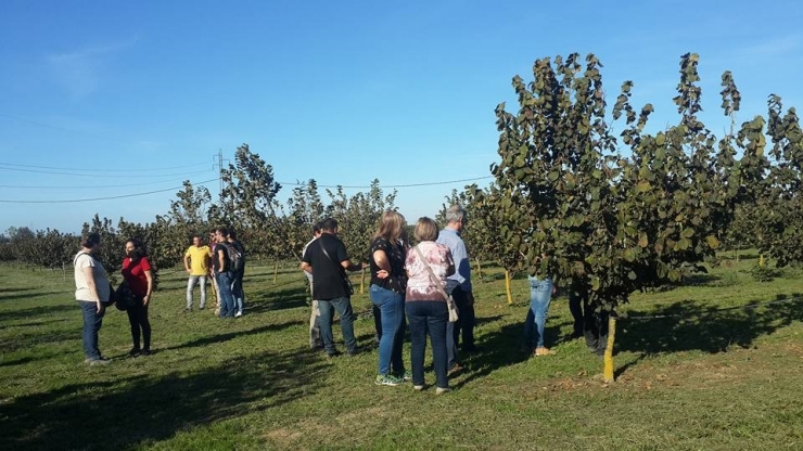 Ordu Heyeti İspanya’nın Fındık Tarımını İnceledi
