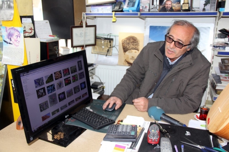 Divriği Balı Anzer Balına Rakip