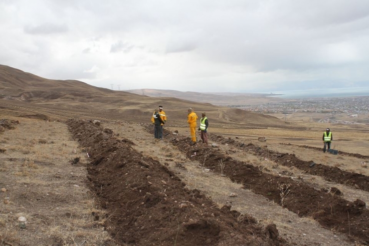 Yaban Hayvanları İçin Meyve Fidanı Diktiler