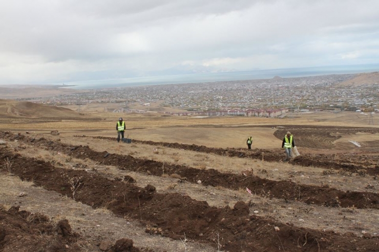 Yaban Hayvanları İçin Meyve Fidanı Diktiler