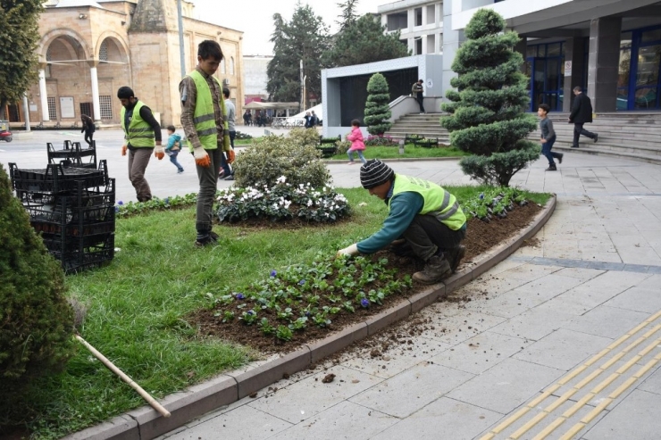 Mevsimlik Çiçek Dikimi Başladı