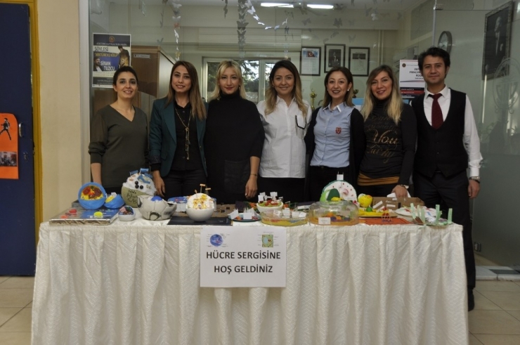 Gkv’li Öğrencilerden Hücre Modelleri Sergisi