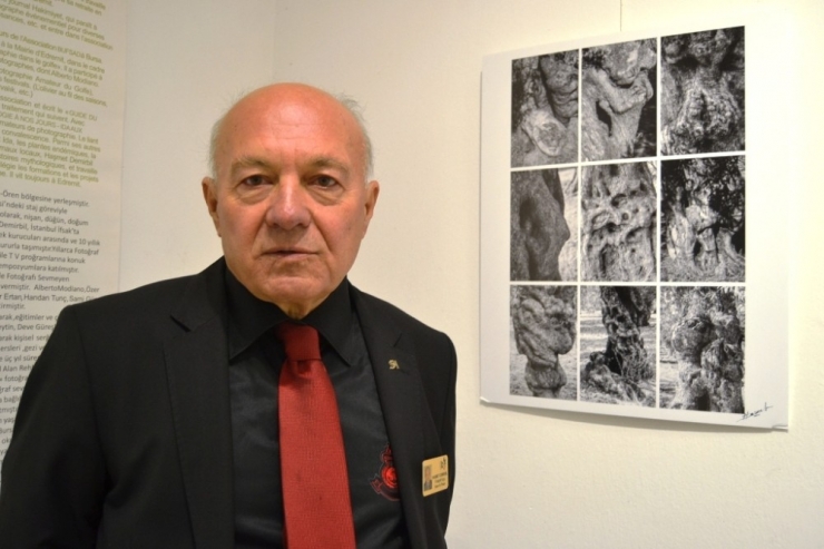 Ayvalık’ta Fidandan Sofraya Zeytini Anlatan Sergi