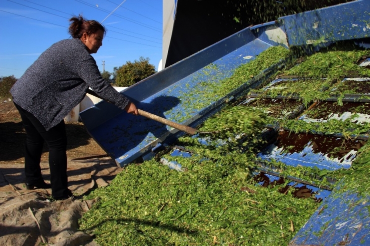Kadın Girişimci Talebe Yetişemiyor