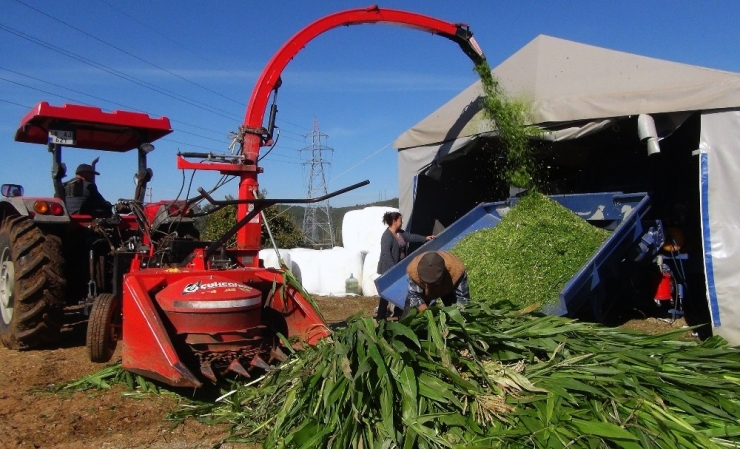 Kadın Girişimci Talebe Yetişemiyor