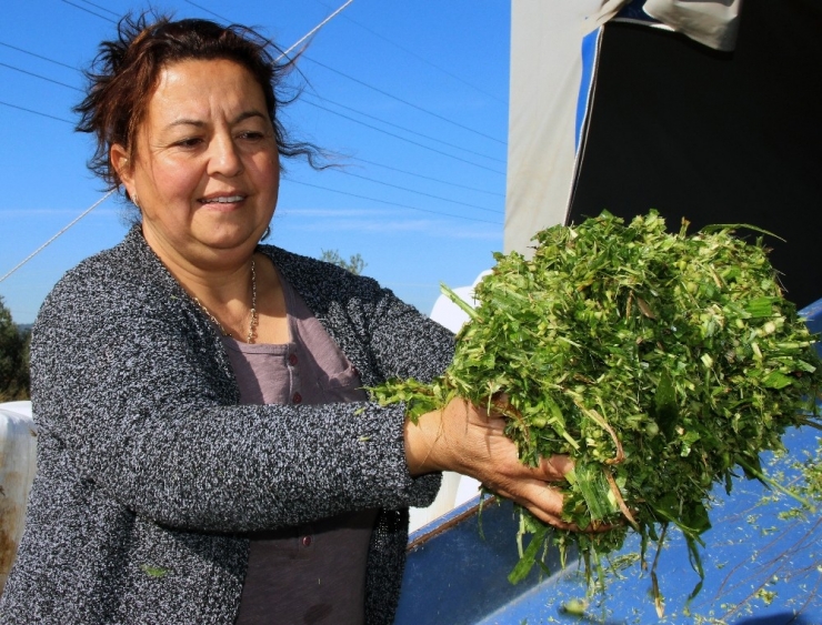 Kadın Girişimci Talebe Yetişemiyor