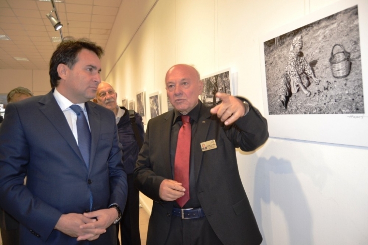 Ayvalık’ta Fidandan Sofraya Zeytini Anlatan Sergi