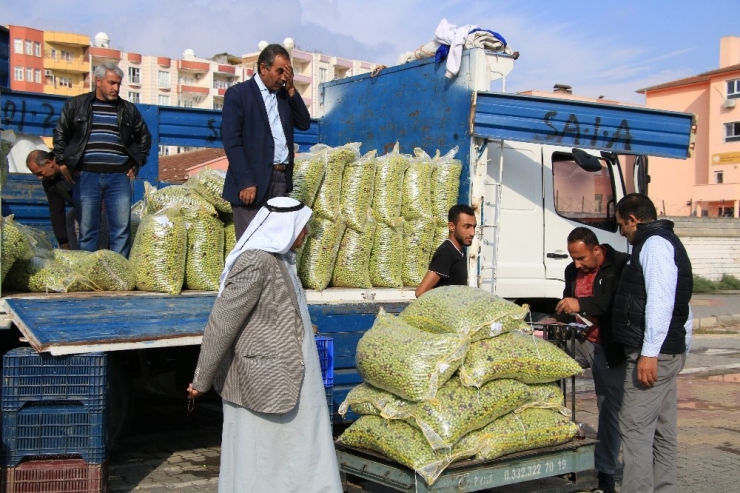 Yeşil Zeytin Tezgahlardaki Yerini Aldı