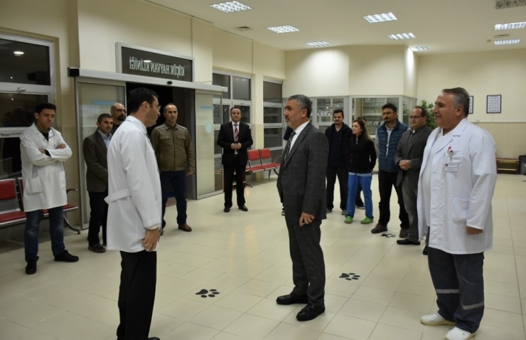 Omü Hayvan Hastanesi 7/24 Acil Hizmete Başladı