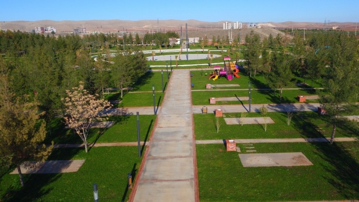 Şanlıurfa’da Yeşillendirme Çalışmaları Sürüyor