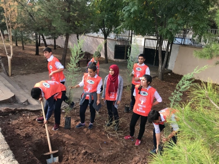Siverek’te Öğrenciler Ağaç Dikti