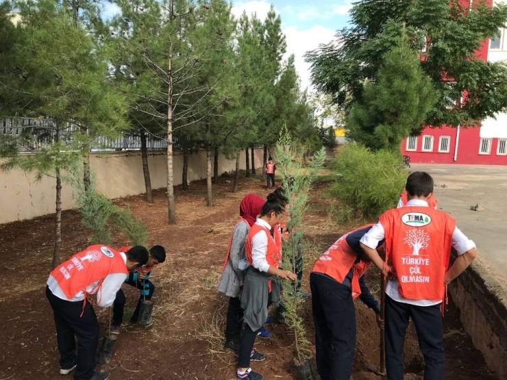 Siverek’te Öğrenciler Ağaç Dikti