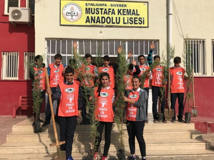 Siverek’te Öğrenciler Ağaç Dikti