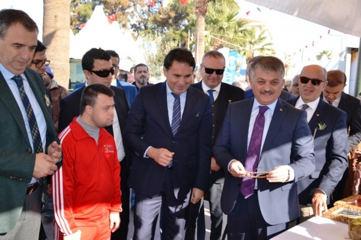 13. Ayvalık Zeytin Hasat Günleri ’Zeytine Minnet’ Yürüyüşü Ve Açılış Seremonisiyle Başladı