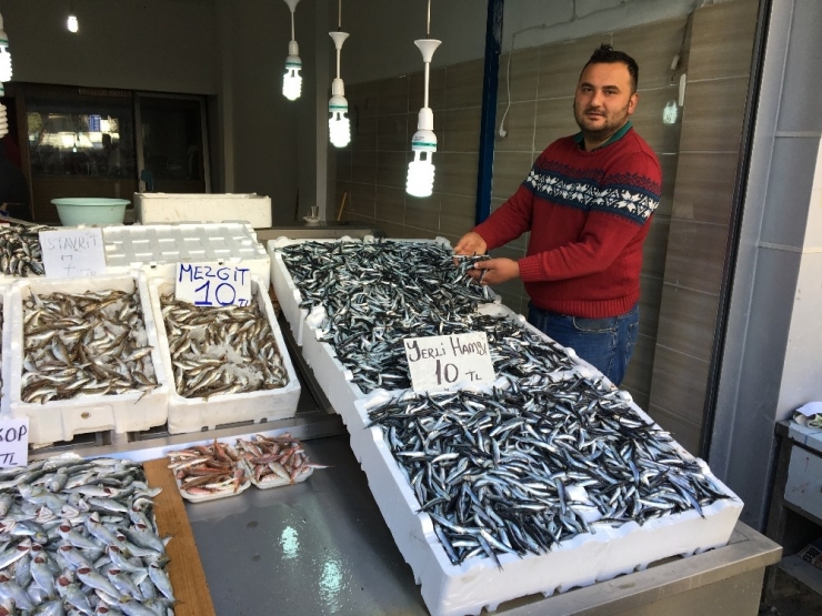 Fatsa’da Hamsi 10 Tl