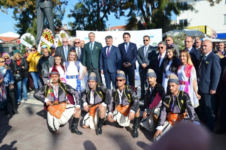 13. Ayvalık Zeytin Hasat Günleri ’Zeytine Minnet’ Yürüyüşü Ve Açılış Seremonisiyle Başladı