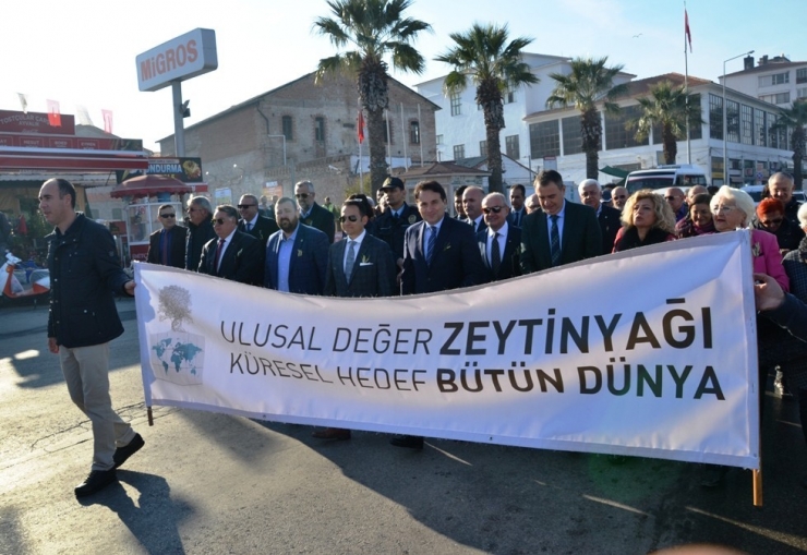 13. Ayvalık Zeytin Hasat Günleri ’Zeytine Minnet’ Yürüyüşü Ve Açılış Seremonisiyle Başladı