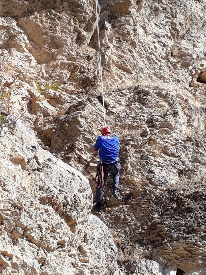 Batman’da Kayalıklarda Mahsur Kalan Keçi Kurtarıldı