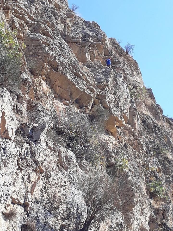 Batman’da Kayalıklarda Mahsur Kalan Keçi Kurtarıldı