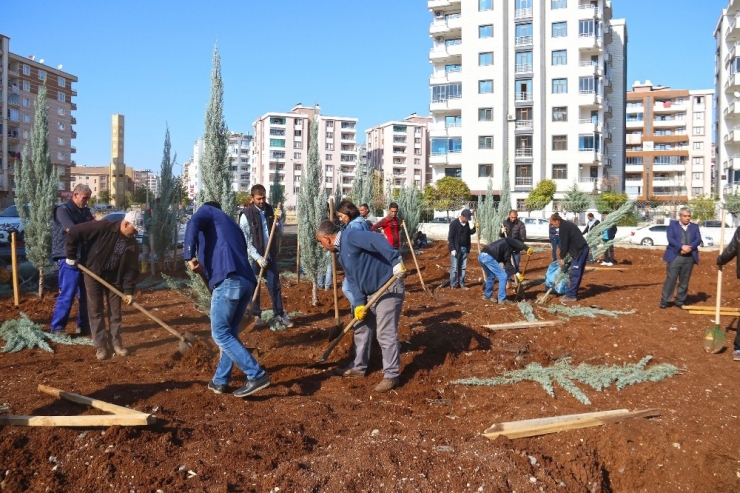 Bağlar’da Yeşil Alan Ağaçlandırıldı