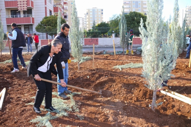 Bağlar’da Yeşil Alan Ağaçlandırıldı