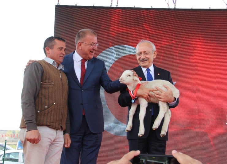 Chp Lideri Kılıçdaroğlu’na ‘Kuzu’ Sürprizi