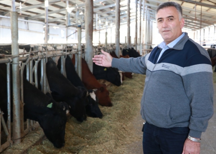 Üreticiler Süt Ürünlerinin Fiyatlarındaki Artışa Tepkili