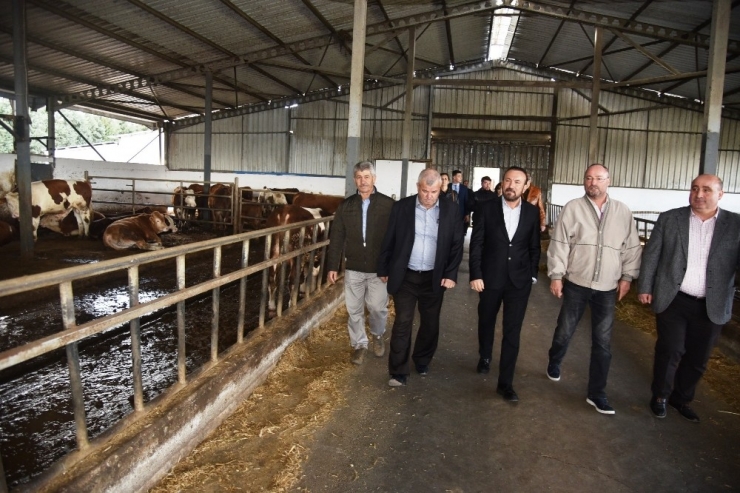 Başkan Doğan Süt Üretim Tesislerinde İncelemelerde Bulundu