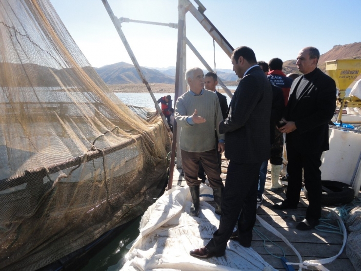 Elazığ’dan 10 Ayda 6,5 Milyon Euroluk Alabalık İhracatı