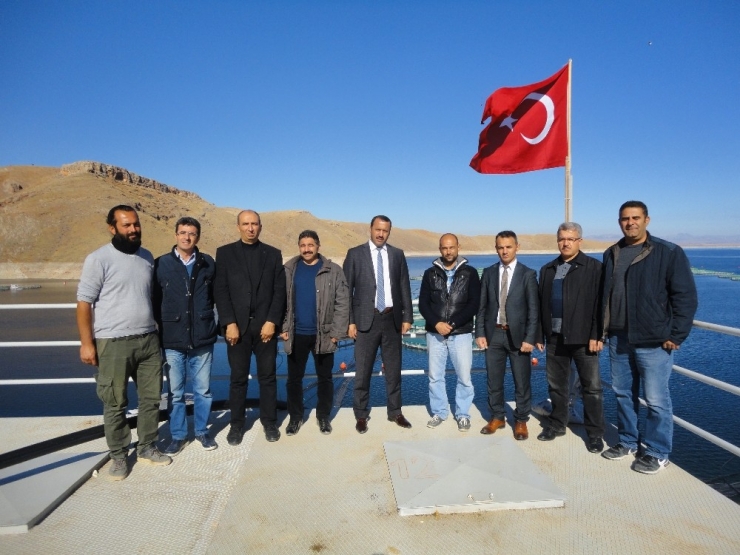 Elazığ’dan 10 Ayda 6,5 Milyon Euroluk Alabalık İhracatı